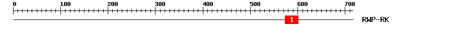 Signature Domain