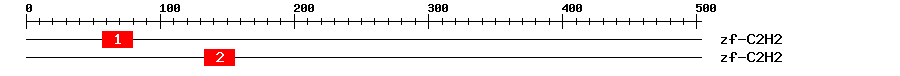 Signature Domain