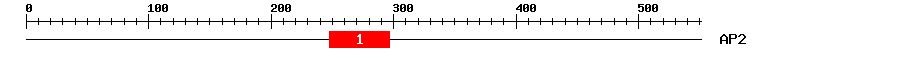 Signature Domain