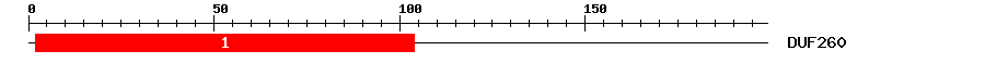 Signature Domain