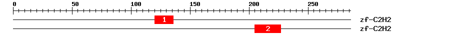 Signature Domain