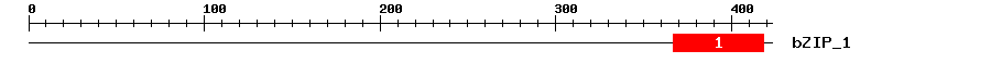 Signature Domain