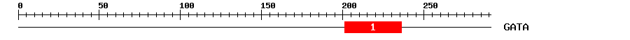 Signature Domain