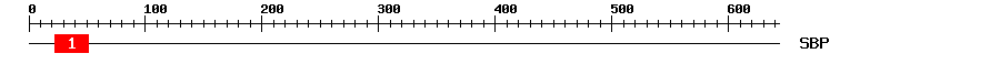 Signature Domain