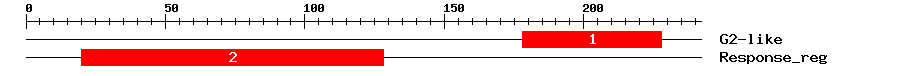 Signature Domain