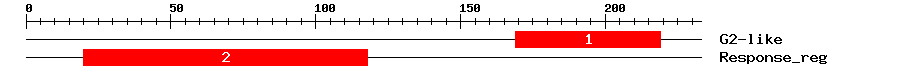 Signature Domain