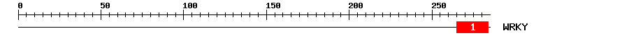 Signature Domain