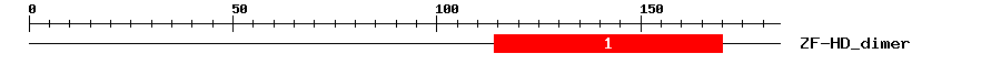 Signature Domain