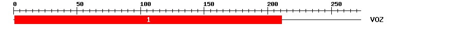Signature Domain