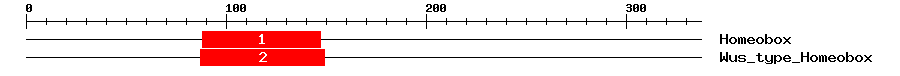 Signature Domain