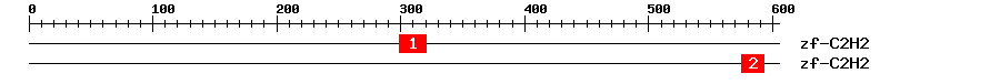 Signature Domain