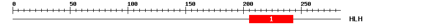 Signature Domain