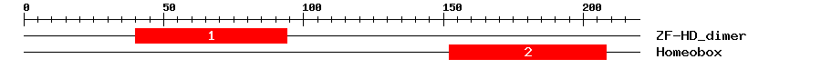 Signature Domain