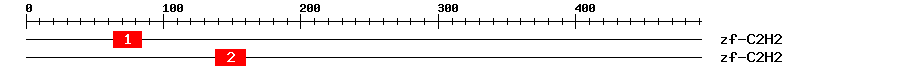 Signature Domain