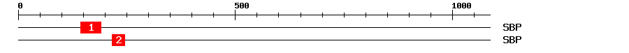 Signature Domain