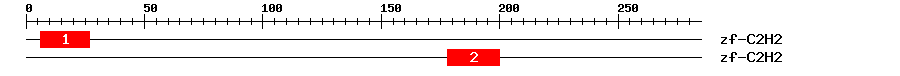 Signature Domain