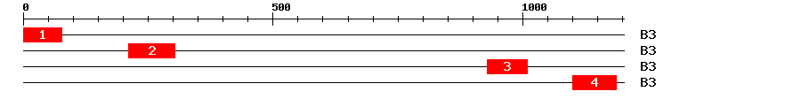 Signature Domain