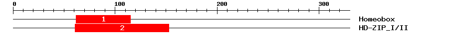 Signature Domain