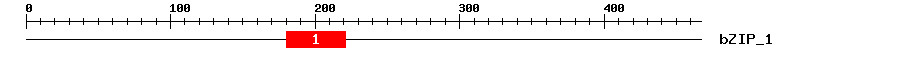 Signature Domain