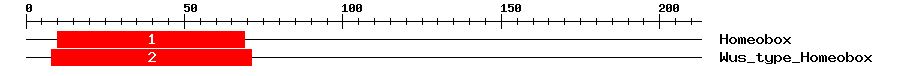 Signature Domain