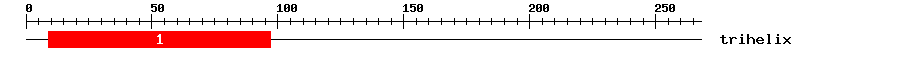 Signature Domain