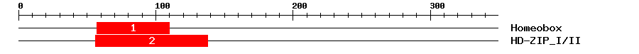 Signature Domain