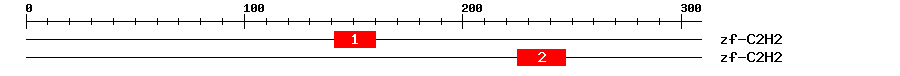 Signature Domain