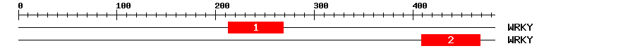 Signature Domain