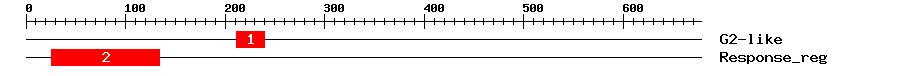 Signature Domain