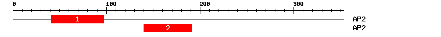 Signature Domain