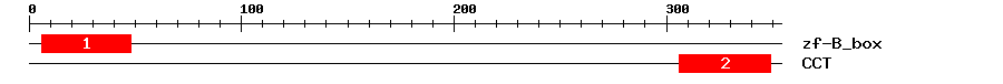Signature Domain