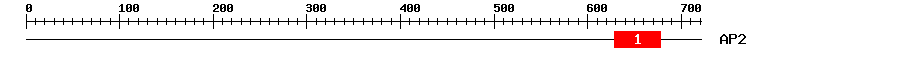 Signature Domain