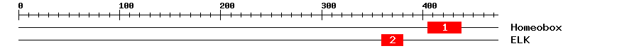 Signature Domain