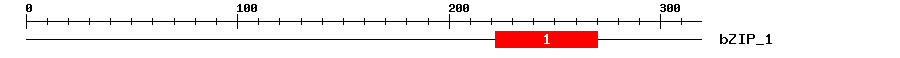 Signature Domain