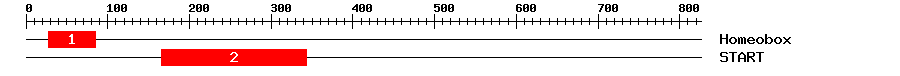 Signature Domain