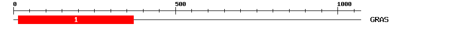 Signature Domain