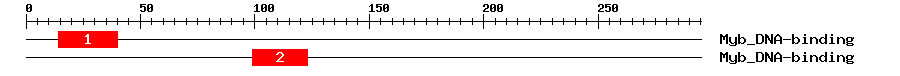 Signature Domain