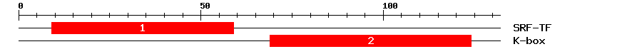 Signature Domain