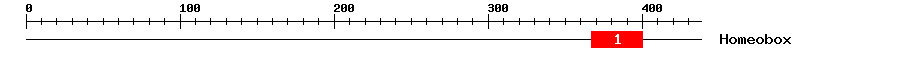 Signature Domain