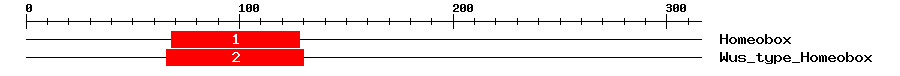 Signature Domain