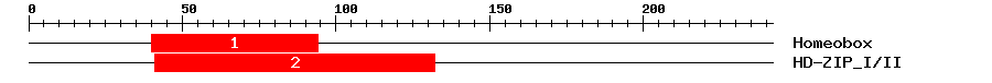 Signature Domain
