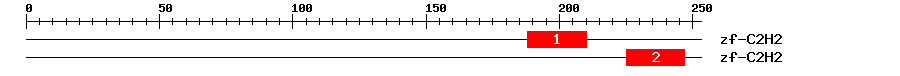 Signature Domain