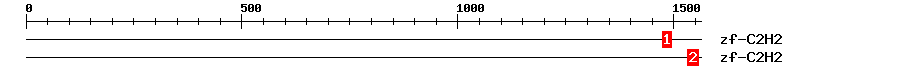 Signature Domain