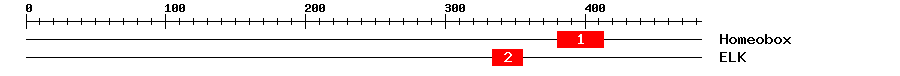 Signature Domain