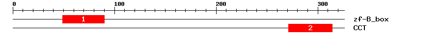 Signature Domain