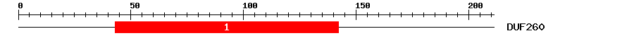 Signature Domain