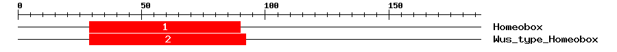 Signature Domain