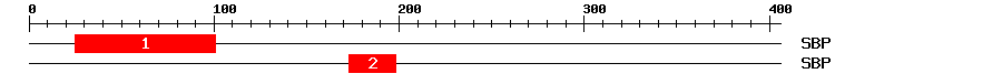 Signature Domain