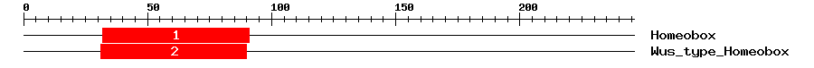 Signature Domain