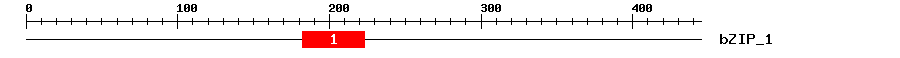 Signature Domain